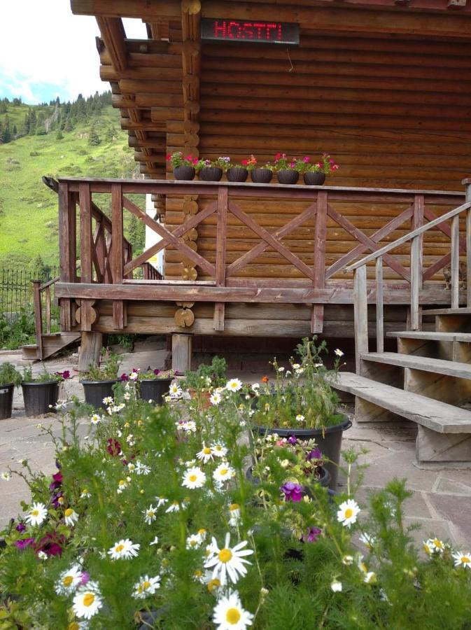Hostel Shymbulak Αλμάτι Εξωτερικό φωτογραφία